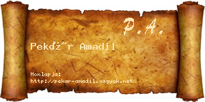 Pekár Amadil névjegykártya